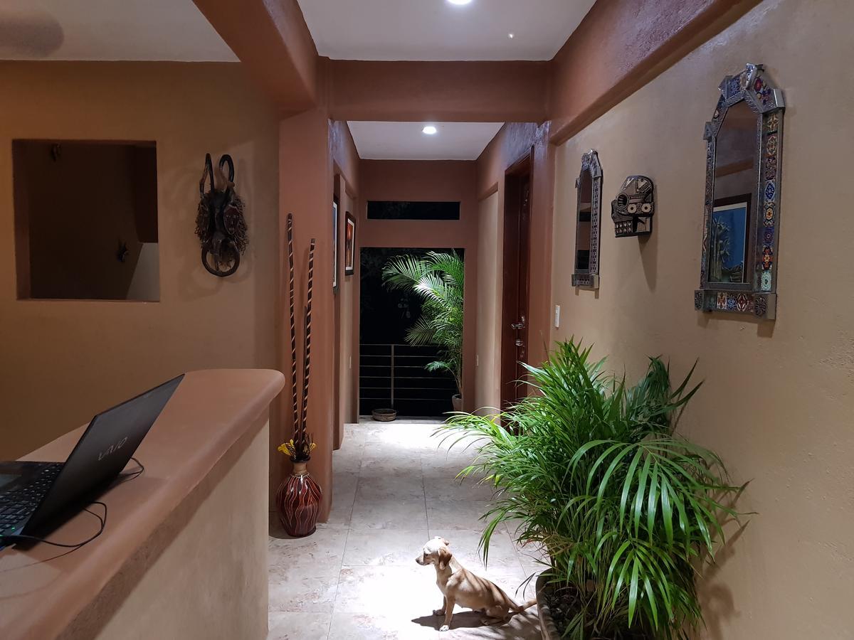 Casa Arcoiris Zihuatanejo B&B Esterno foto